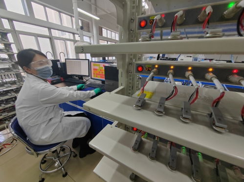 中國(guó)首創(chuàng)！洛陽(yáng)牡丹殼變廢為寶，開(kāi)啟鈉電池負(fù)極材料新紀(jì)元