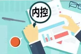 企業如何建立有效的內部控制制度 理論與實務指導